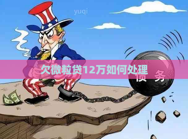 欠微粒贷12万如何处理