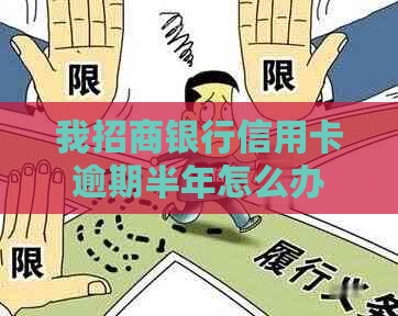 我招商银行信用卡逾期半年怎么办