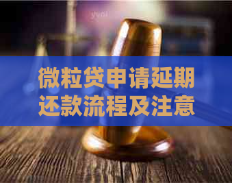 微粒贷申请延期还款流程及注意事项