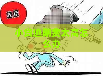 小贷逾期费太高怎么办