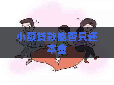 小额贷款能否只还本金