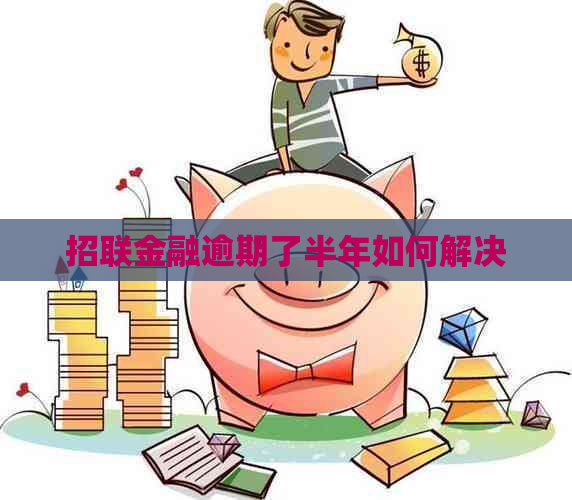 招联金融逾期了半年如何解决