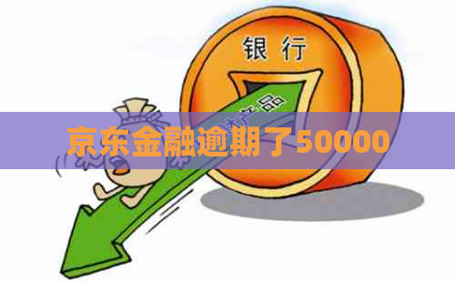 京东金融逾期了50000