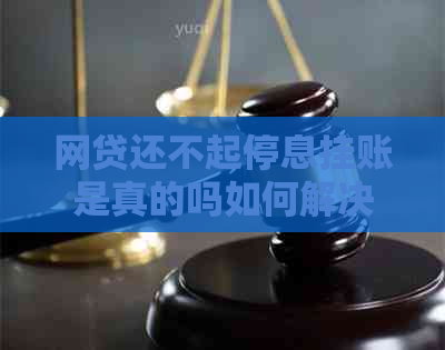 网贷还不起停息挂账是真的吗如何解决