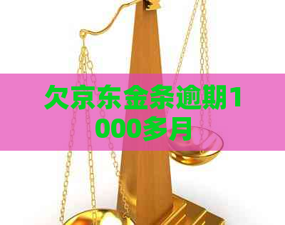 欠京东金条逾期1000多月