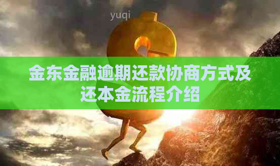 金东金融逾期还款协商方式及还本金流程介绍