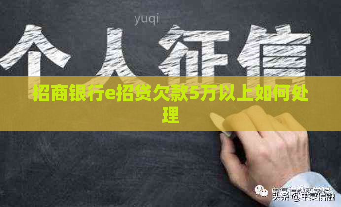 招商银行e招贷欠款5万以上如何处理