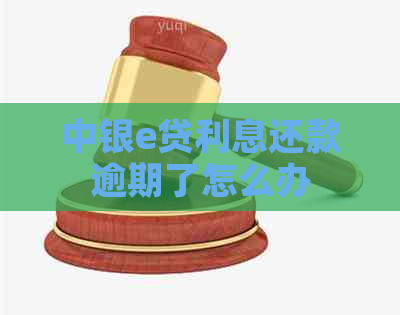 中银e贷利息还款逾期了怎么办