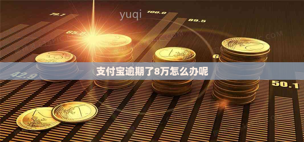 支付宝逾期了8万怎么办呢