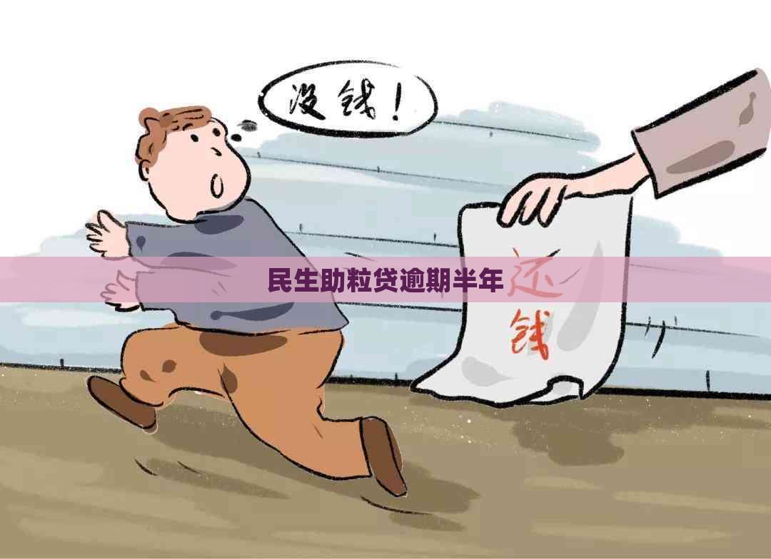 民生助粒贷逾期半年