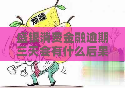 盛银消费金融逾期三天会有什么后果