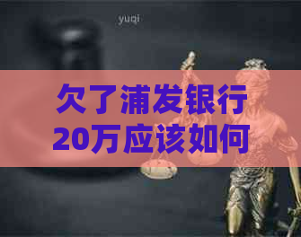 欠了浦发银行20万应该如何处理