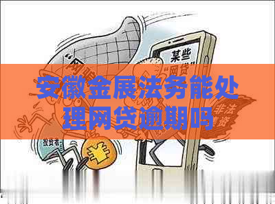 安徽金展法务能处理网贷逾期吗