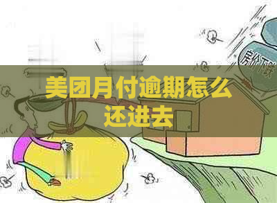 美团月付逾期怎么还进去