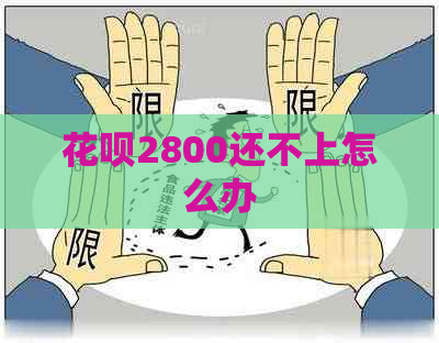 花呗2800还不上怎么办