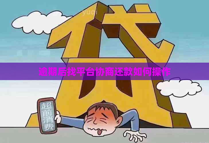 逾期后找平台协商还款如何操作