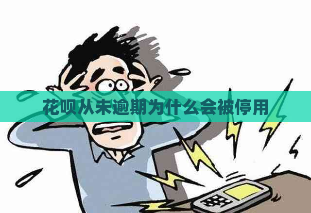 花呗从未逾期为什么会被停用