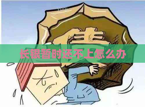 长银暂时还不上怎么办