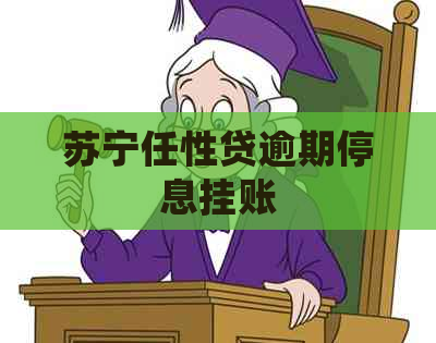 苏宁任性贷逾期停息挂账