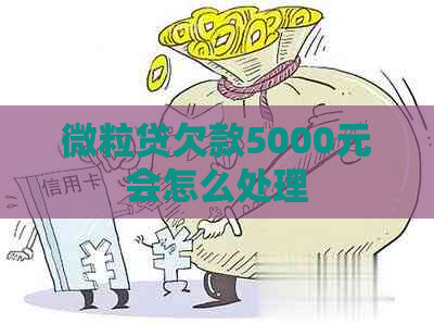 微粒贷欠款5000元会怎么处理