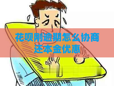 花呗刚逾期怎么协商还本金优惠