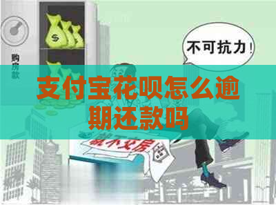 支付宝花呗怎么逾期还款吗