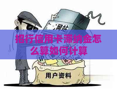 招行信用卡滞纳金怎么算如何计算