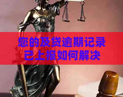 您的及贷逾期记录已上报如何解决