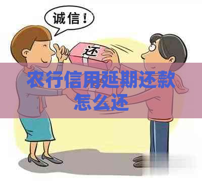 农行信用延期还款怎么还