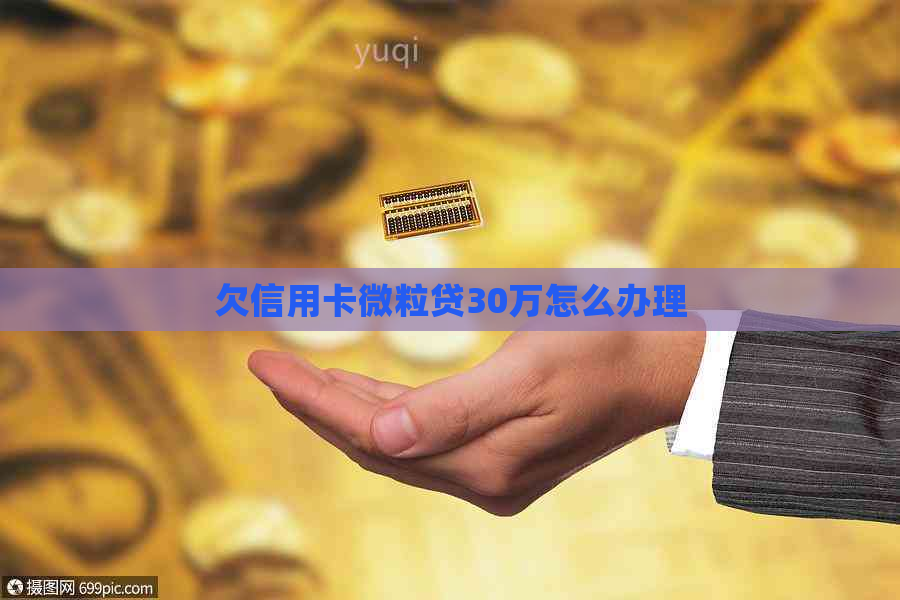 欠信用卡微粒贷30万怎么办理