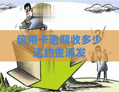 信用卡逾期收多少违约金浦发