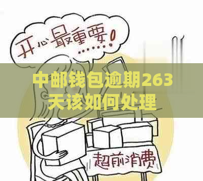 中邮钱包逾期263天该如何处理