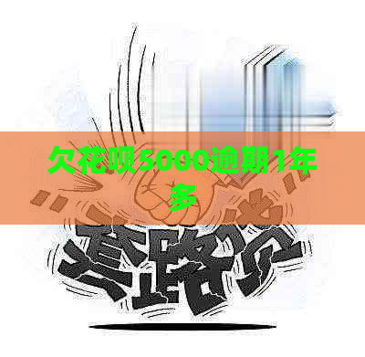 欠花呗5000逾期1年多