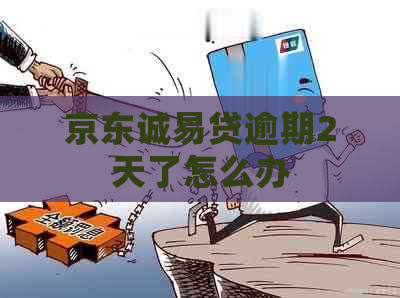 京东诚易贷逾期2天了怎么办