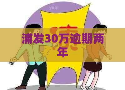 浦发30万逾期两年