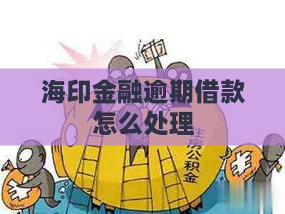 海印金融逾期借款怎么处理