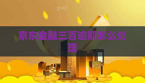 京东金融三百逾期怎么处理