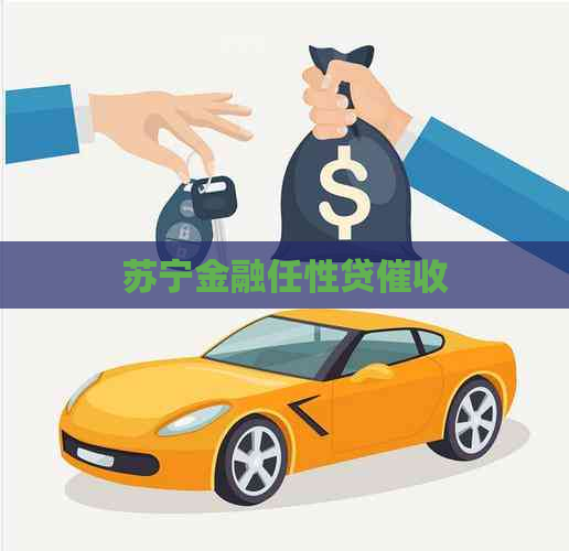 苏宁金融任性贷