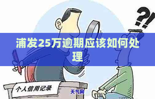 浦发25万逾期应该如何处理