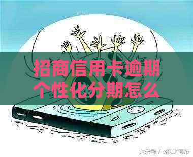 招商信用卡逾期个性化分期怎么操作