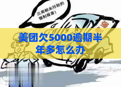 美团欠5000逾期半年多怎么办