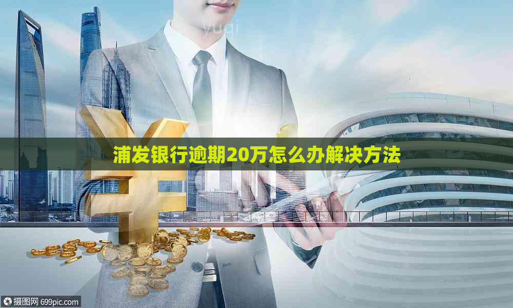 浦发银行逾期20万怎么办解决方法