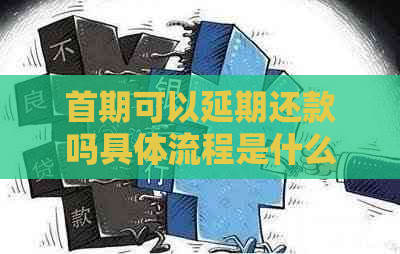 首期可以延期还款吗具体流程是什么