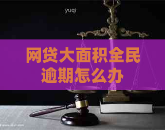 网贷大面积全民逾期怎么办