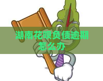 湖南花呗负债逾期怎么办