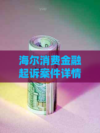 海尔消费金融起诉案件详情披露