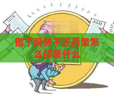 借了网贷不还后果怎么样是什么