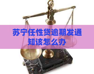 苏宁任性贷逾期发通知该怎么办