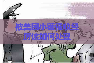 被美团小额经历该如何处理