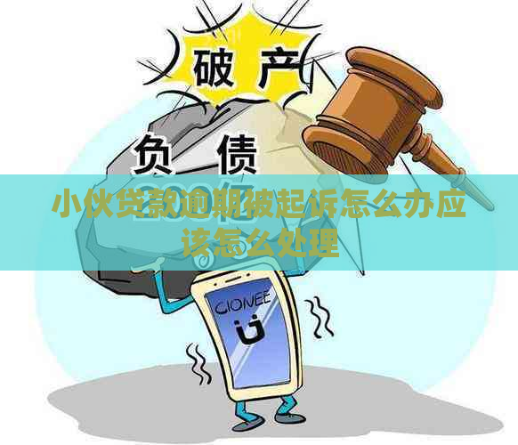 小伙贷款逾期被起诉怎么办应该怎么处理